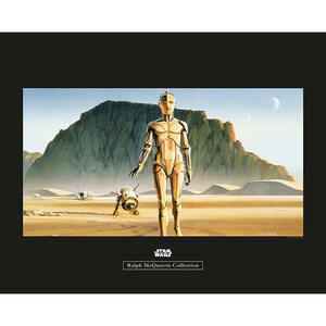 Komar Wandbild Star Wars Classic RMQ Droids Star Wars - Classic B/L: ca. 50x40 cm