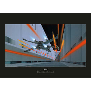 Komar Wandbild Star Wars Classic RMQ Death Star Tr Star Wars - Imperial Force B/L: ca. 70x50 cm