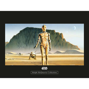 Komar Wandbild Star Wars Classic RMQ Droids Star Wars - Intro B/L: ca. 40x30 cm