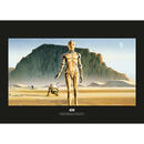 Bild 1 von Komar Wandbild Star Wars Classic RMQ Droids Star Wars - Classic B/L: ca. 70x50 cm