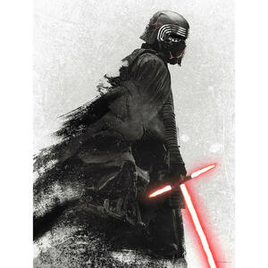 Komar Wandbild Star Wars EP9 Kylo Vader Shadow Star Wars B/L: ca. 30x40 cm