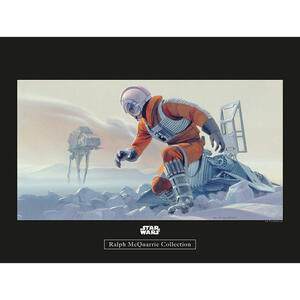 Komar Wandbild Star Wars Classic RMQ Hoth Battle P Star Wars B/L: ca. 40x30 cm