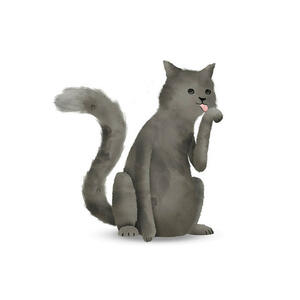 Komar Wandbild Cute Animal Cat Katze B/L: ca. 40x50 cm