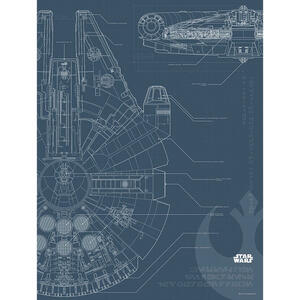 Komar Wandbild Star Wars Blueprint Falcon Star Wars B/L: ca. 30x40 cm
