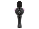 Bild 2 von Lenco Kinder-Karaoke-Mikrofon »BMC-120« in Bären-Optik