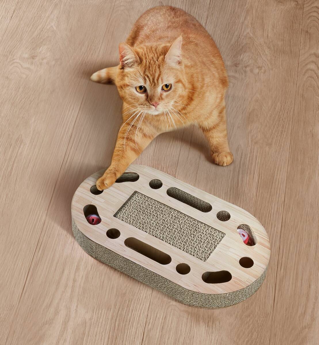 Bild 1 von Kratzbrett