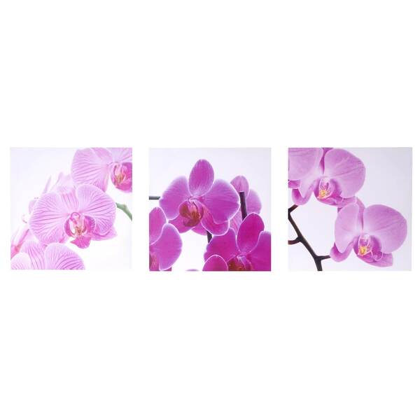 Bild 1 von Leinwandbild H376, Wandbild Keilrahmenbild Kunstdruck, 3-teilig 150x50cm ~ Orchidee