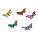 Bild 1 von Deko-Schmetterlinge mit Clip, ca. 8x6x2cm, 5er-Pack