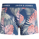 Bild 2 von Jack&Jones JACPLANTS TRUNKS Panty im 3er Pack