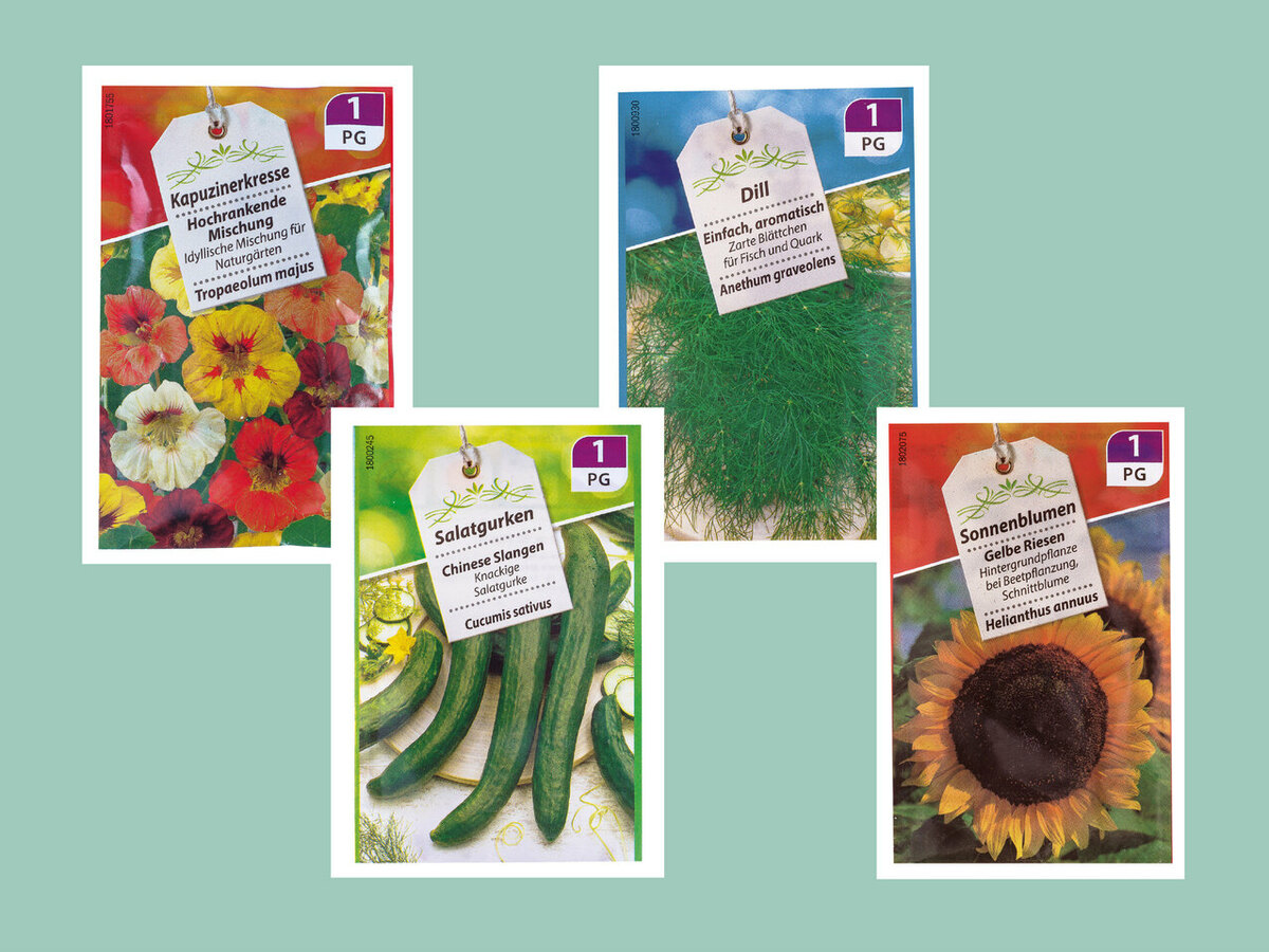 Bild 1 von Feinsämereien