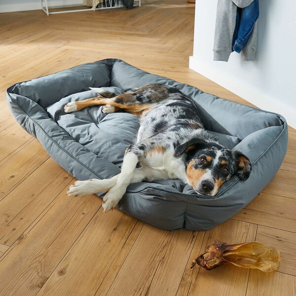 Bild 3 von ROMEO XXL-Hundebett