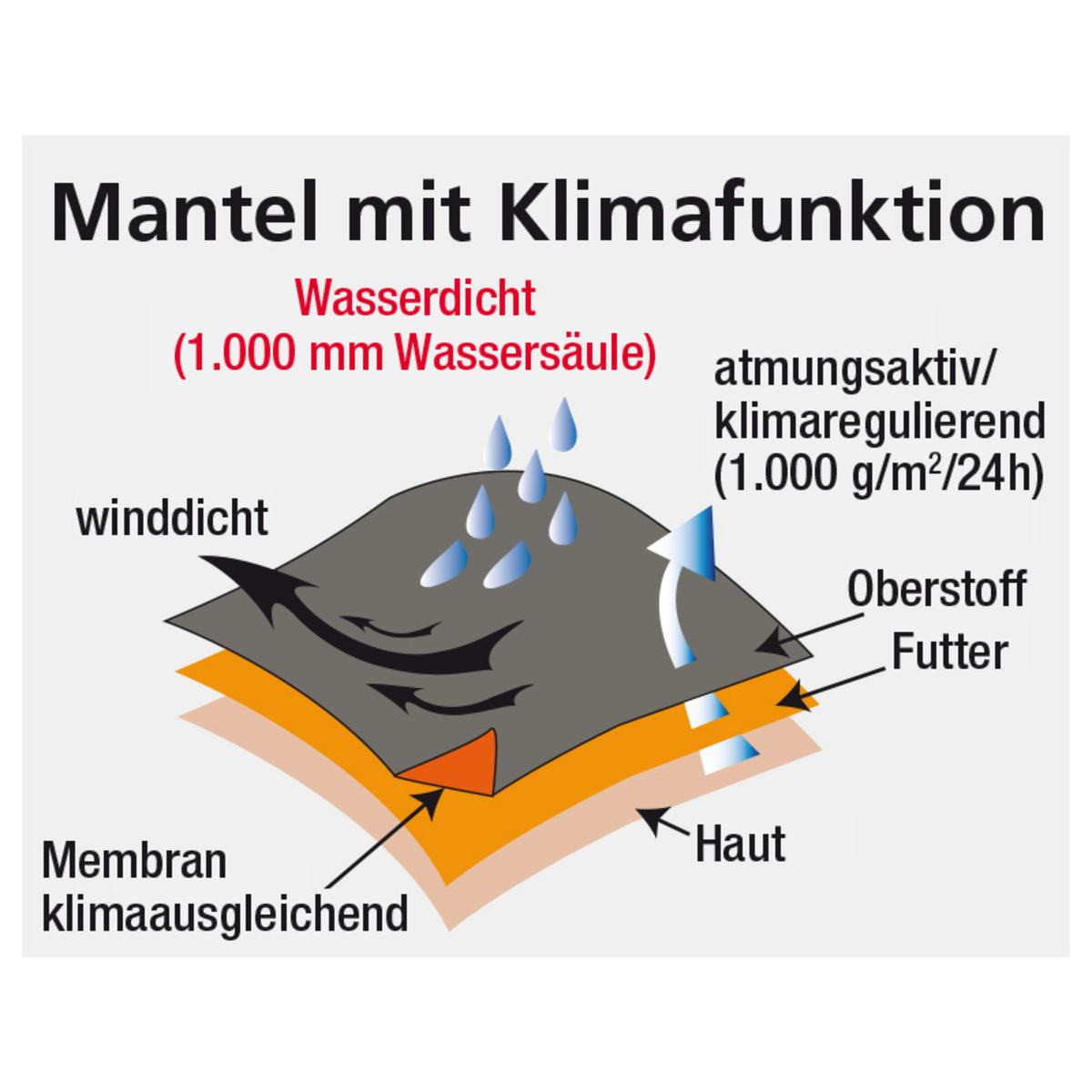 Bild 3 von Ellenor Modischer Softshell-Mantel