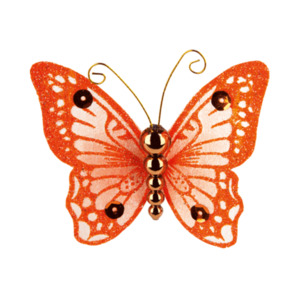 2er Schmetterlinge