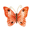 Bild 1 von 2er Schmetterlinge