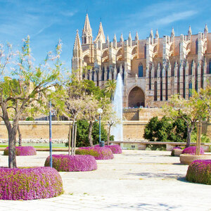 Zauberhafte Mandelblüte auf Mallorca