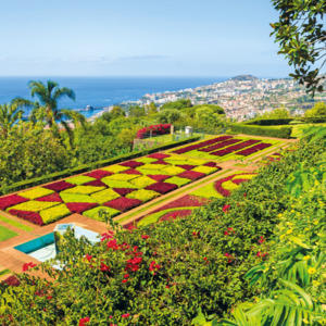 Blütenzauber auf Madeira