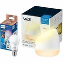 Bild 1 von WiZ Tischleuchte Squire inkl. Philips E27 LED-Lampe
