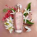 Bild 3 von Judith Williams Beautiful Geschenkset