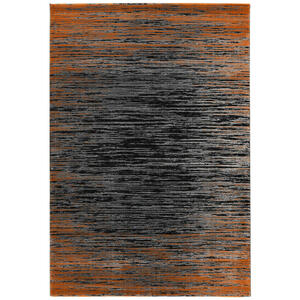 Teppich Pablo terra B/L: ca. 80x150 cm