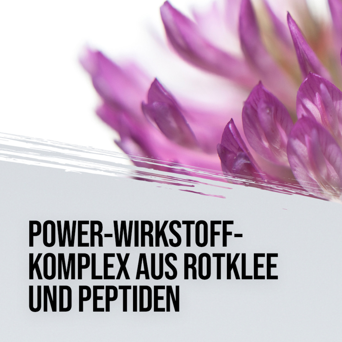 Bild 3 von ISANA Eye Lash Wimpernserum