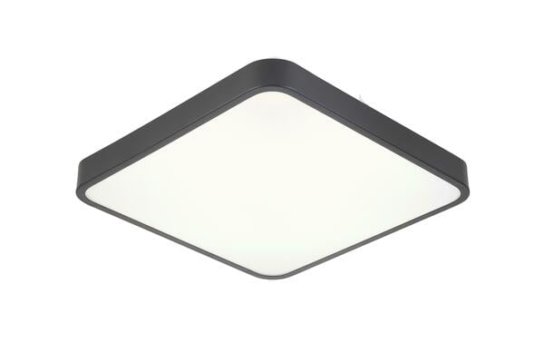 Bild 1 von LED-Deckenleuchte Shirley 1 in Schwarz max. 18 Watt Deckenlampe