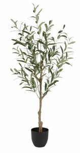 Kunstpflanze HAVHEST H135cm olivgrün