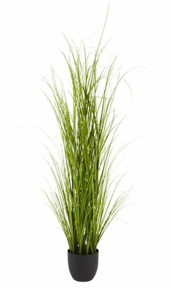 Bild 1 von Kunstpflanze MARKUSFLUE H90cm Gras