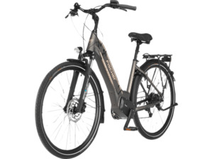 FISCHER CITA 6.0i Citybike (Laufradgröße: 28 Zoll, Unisex-Rad, 504 Wh, platingrau matt)