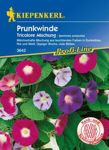 Kiepenkerl Prunk. Trichterwinde Tricolor
, 
Ipomoea tricolor, Inhalt: ca. 20 Pflanzen