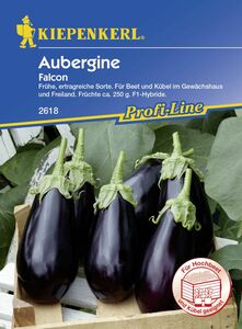 Kiepenkerl Aubergine Falcon
, 
Solanum melongena, Inhalt: 8 Korn
