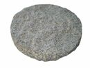 Bild 1 von TrendLine Granit-Trittstein 5 x Ø 30 cm, grau