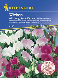 Kiepenkerl Staudenwicke Pastellfarben Mischung
, 
Lathyrus latifolius, Inhalt: ca. 15 Pflanzen
