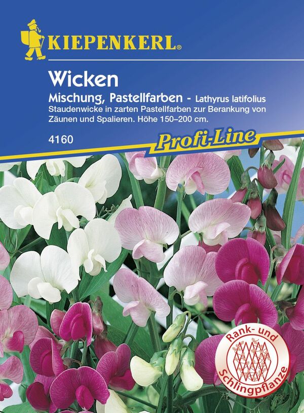 Bild 1 von Kiepenkerl Staudenwicke Pastellfarben Mischung
, 
Lathyrus latifolius, Inhalt: ca. 15 Pflanzen