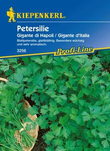 Kiepenkerl Petersilie Gigante d'Italia
, 
Petroselinum crispum var. crispum, Inhalt: ca. 400 Pflanzen