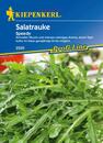 Bild 1 von Kiepenkerl Salatrauke Speedy
, 
Eruca sativa, Inhalt: ca. 100 Pflanzen