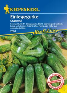 Kiepenkerl Einlegegurke Charlotte
, 
Cucumis sativus, Inhalt: ca. 35 Pflanzen