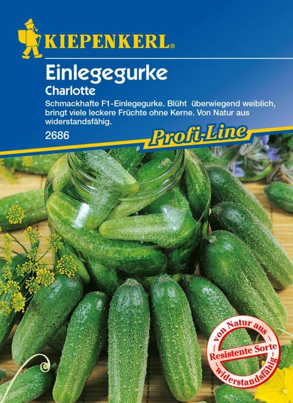 Bild 1 von Kiepenkerl Einlegegurke Charlotte
, 
Cucumis sativus, Inhalt: ca. 35 Pflanzen