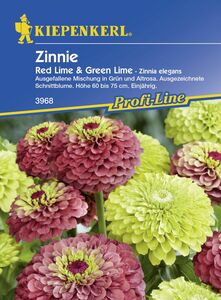 Kiepenkerl Zinnie Red Lime + Green Lime
, 
Zinnia angustifolia, Inhalt: ca. 20 Pflanzen