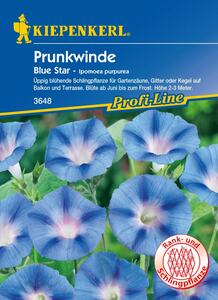 Kiepenkerl Prunkwinde Blue Star
, 
Ipomoea purpurea, Inhalt: ca. 20 Pflanzen