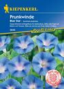 Bild 1 von Kiepenkerl Prunkwinde Blue Star
, 
Ipomoea purpurea, Inhalt: ca. 20 Pflanzen