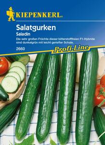 Kiepenkerl Salatgurke Saladin
, 
Cucumis sativus, Inhalt: 6 Korn