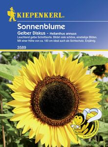Kiepenkerl Sonnenblume Gelber Diskus
, 
Helianthus annuus, Inhalt: ca. 20 Pflanzen