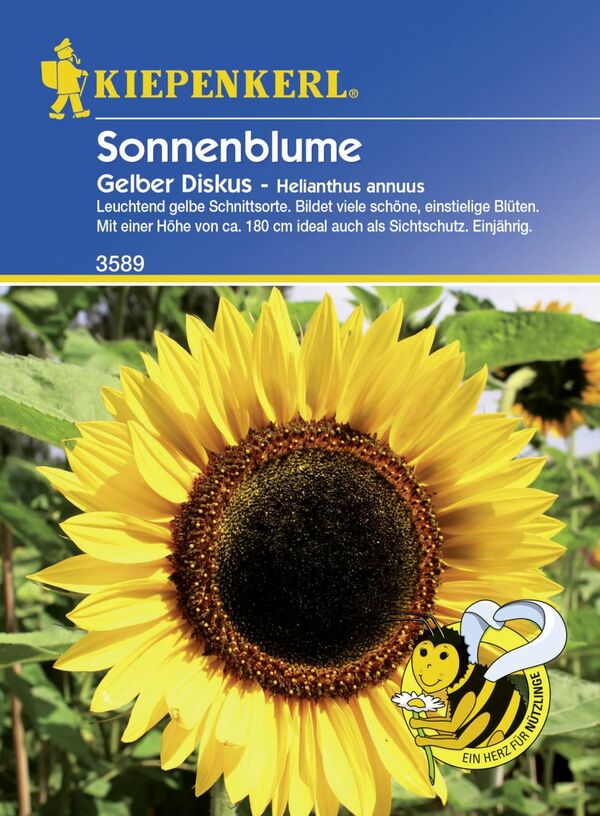 Bild 1 von Kiepenkerl Sonnenblume Gelber Diskus
, 
Helianthus annuus, Inhalt: ca. 20 Pflanzen