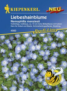 Kiepenkerl Hainblume
, 
Nemophila menziesii, Inhalt: ca. 75 Pflanzen
