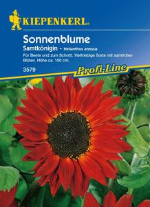 Kiepenkerl Sonnenblume Samtkönigin
, 
Helianthus annuus, Inhalt: ca. 40 Pflanzen