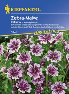 Kiepenkerl Malve Zebrina
, 
Malva sylvestris, Inhalt: ca. 50 Pflanzen