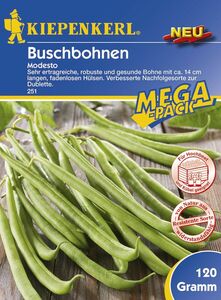 Kiepenkerl Buschbohne Modesto
, 
Phaseolus vulgaris, Inhalt: ca. 18 lfd. Meter
