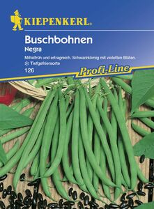 Kiepenkerl Buschbohne Negra
, 
Phaseolus vulgaris var. nanus, Inhalt: ca. 10 lfd. Meter