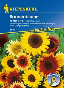 Kiepenkerl Sonnenblume Fantasia
, 
Helianthus annuus, Inhalt: ca. 20 Pflanzen