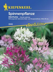 Kiepenkerl Spinnenpflanze Mischung
, 
Cleome spinosa, Inhalt: ca. 50 Pflanzen